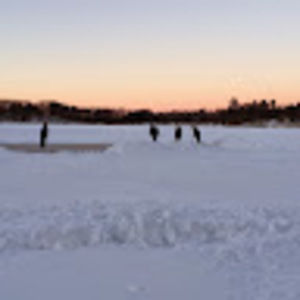 Meet your Posher, Liam